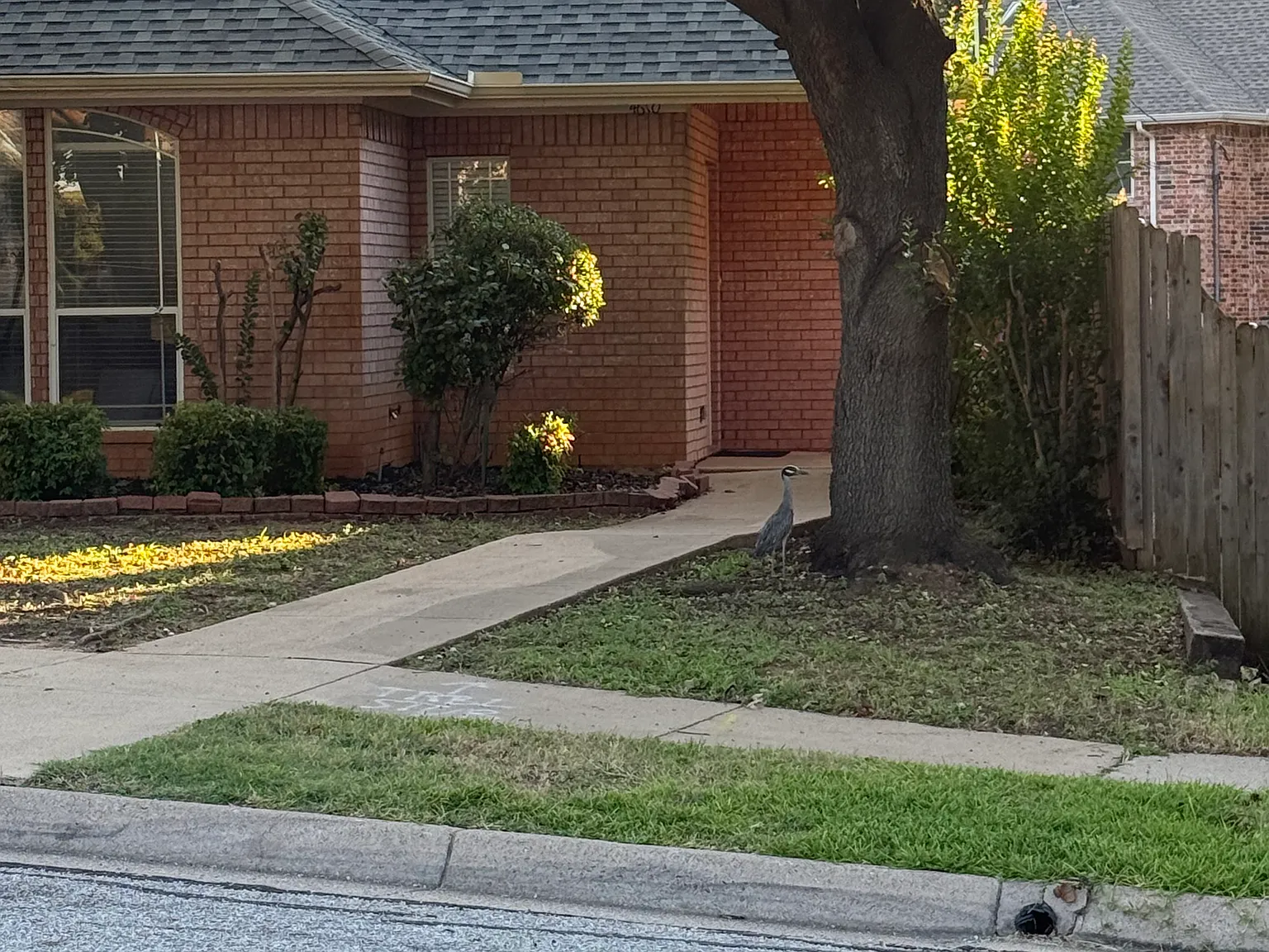 4610 Oak Club Dr — Photo 2