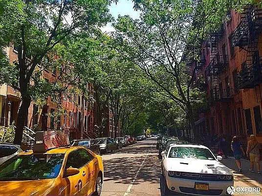 Rented by Oxford Property Group | media 45