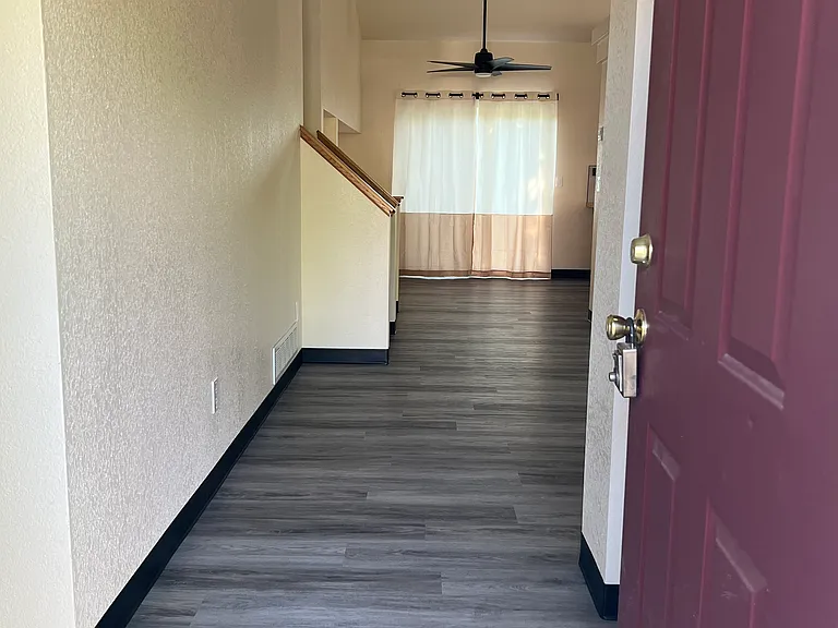Entry way, hall closet to the right