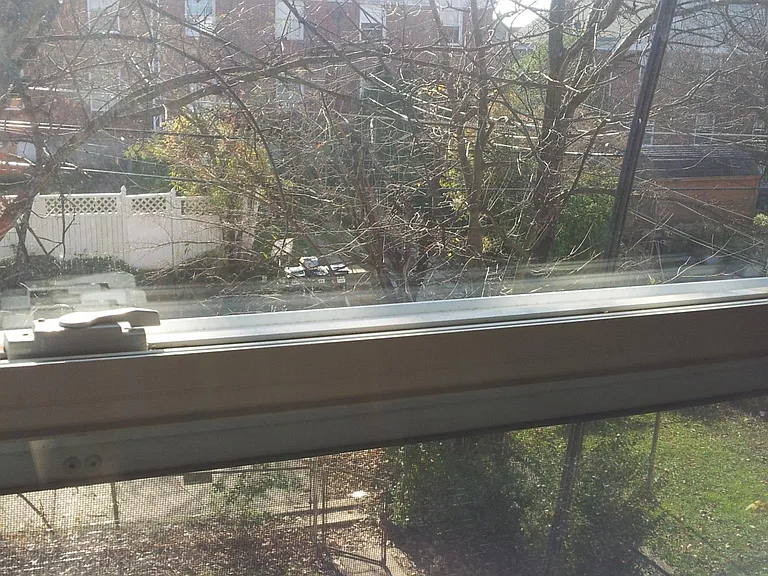 Backyard view From Bd room window