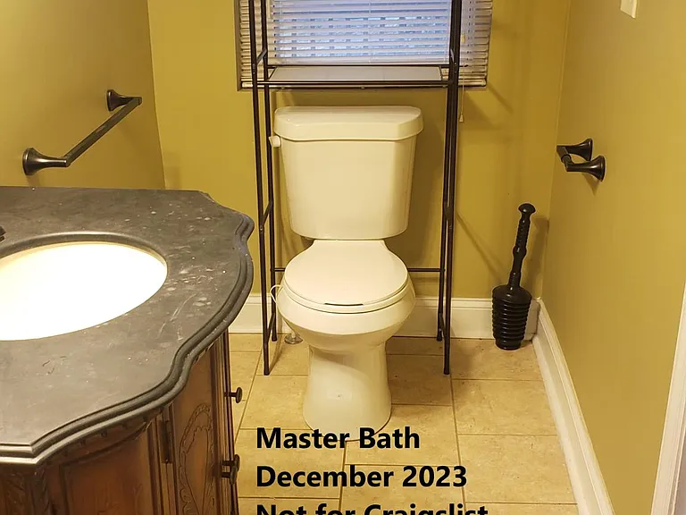 Master bath 2023