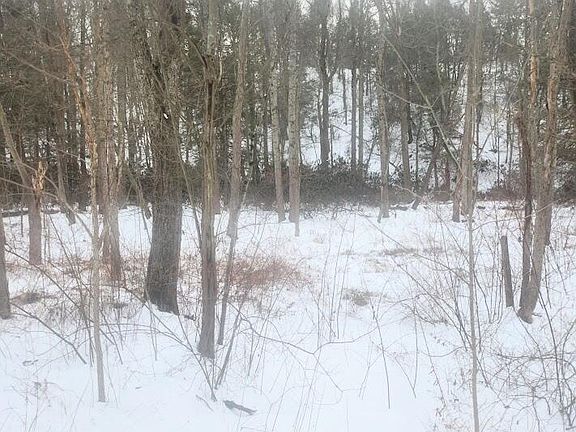 2nd image of 0 Brush Creek Rd