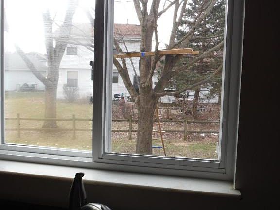 3rd image of 217 Canby Ct