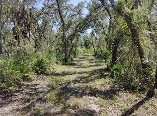 SW Horse Creek Rd, Arcadia, FL 34266