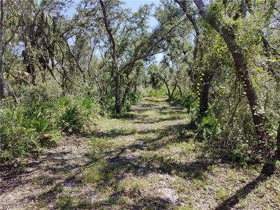 SW Horse Creek Rd, Arcadia, FL, 34266