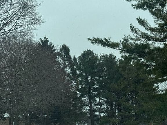 5th image of 17652 Woodbridge Rd #2