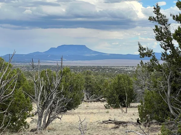Squaw Pass, Quemado, NM 87829