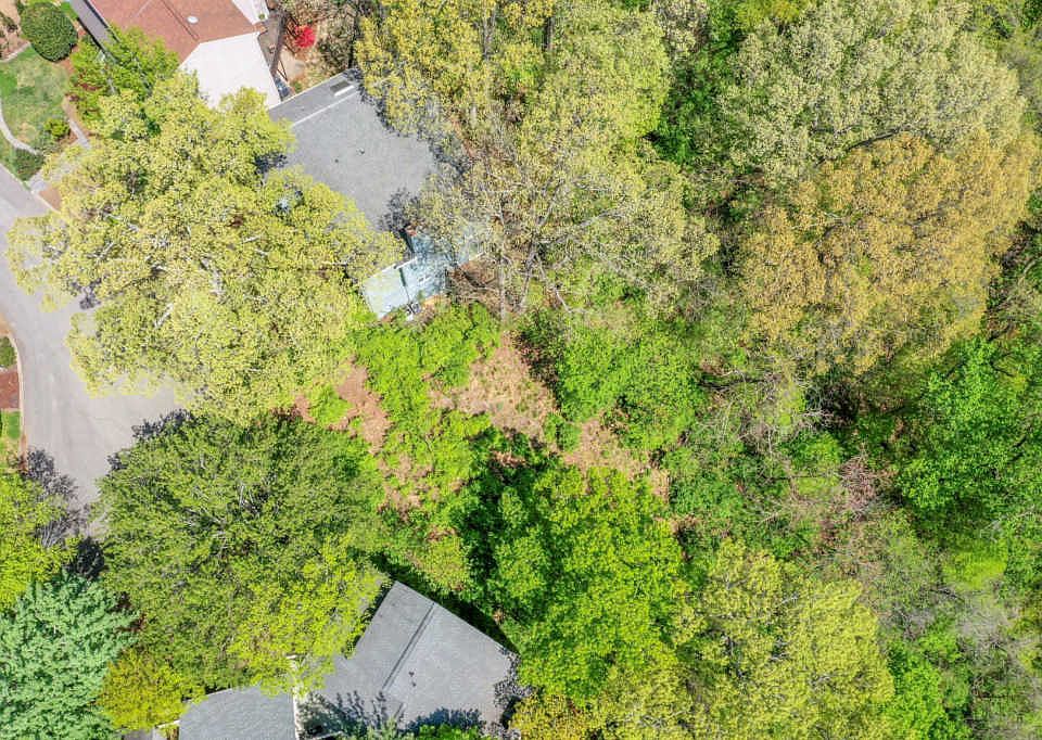 1st image of 113 Harpeth Trace Ct