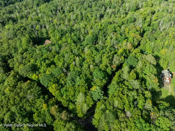 Lot 6 Mount Guardian Road, Bearsville, NY 12409