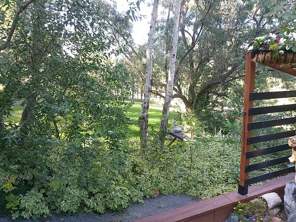 4th image of 2207 Woodpecker Ln