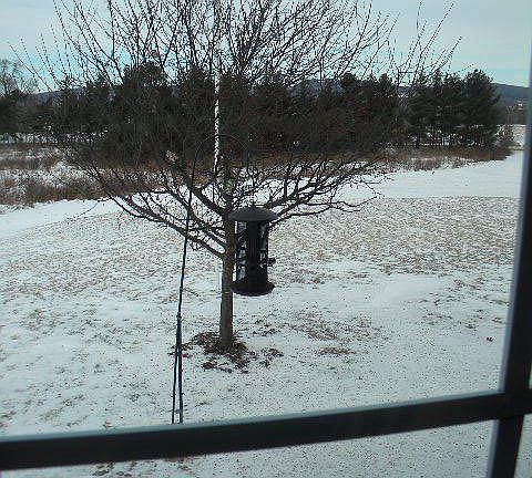 4th image of 5152 County Road 14