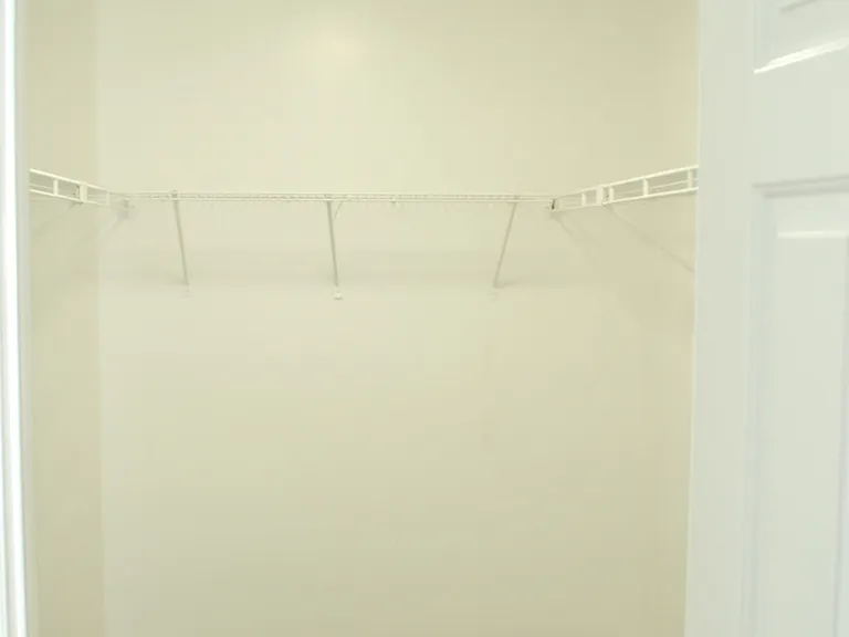 Master suite walking closet