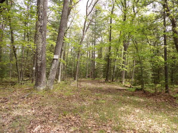 LOT 10 Club Ave, Saint Helen, MI 48656