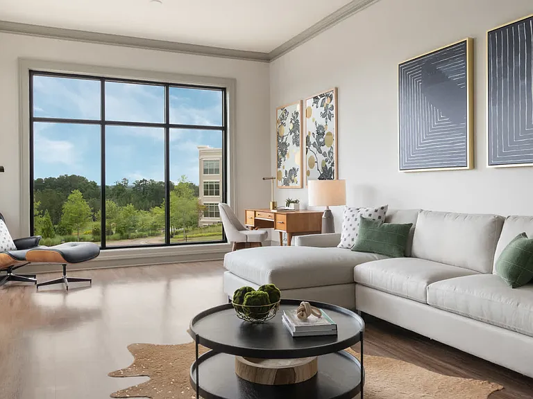 Living Room with Hard Surface Flooring