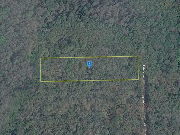 255 NE 879TH STREET, OLD TOWN, FL 32680