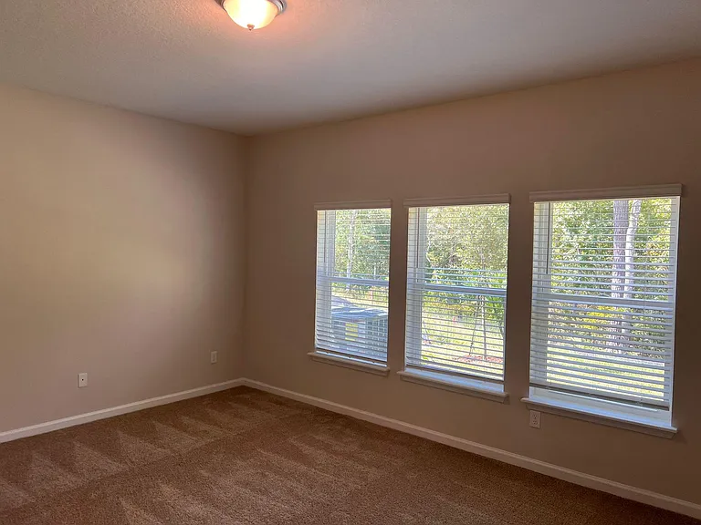 294 Wineberry Ln — Photo 13