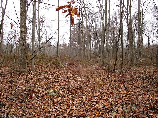 2nd image of 4375 Main Rd