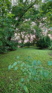 4673 Geneva Ave N, Oakdale, MN, 55128