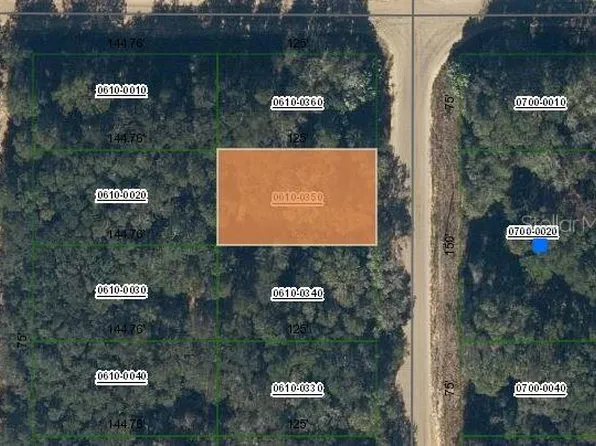 Annette Avenue Lot #35, Interlachen, FL 32148