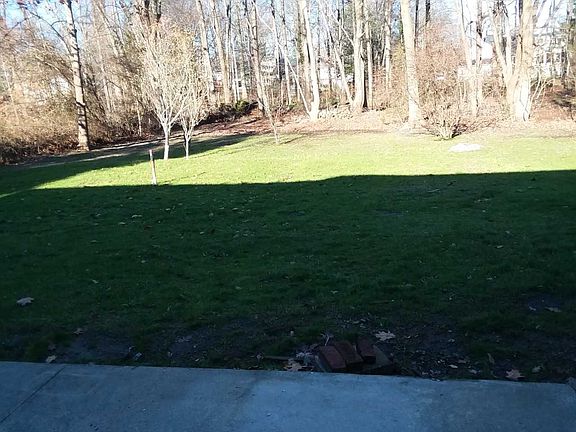 yard  1/2 acre level 