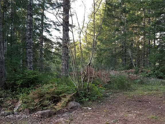 3rd image of 60 E Blossom Pl
