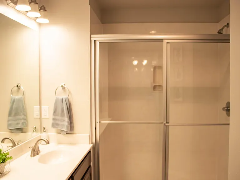 Master bath, walk-in shower