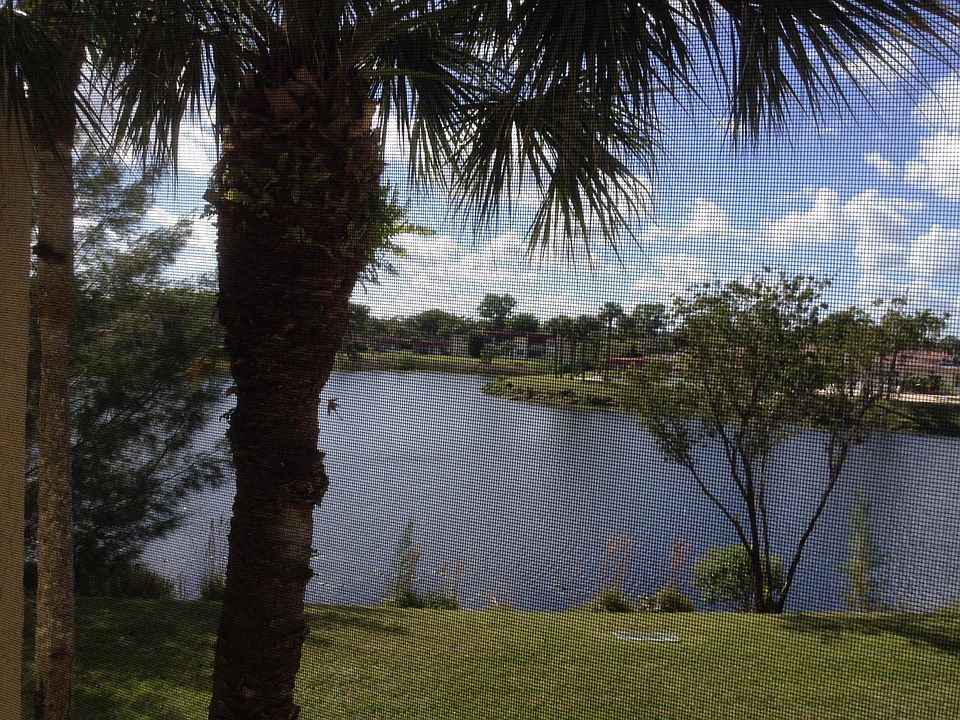 Vew from balcony