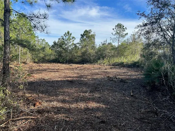 Old Grade Rd Lot A33, Polk City, FL 33868