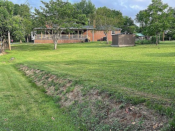 Large back yard open meadow
