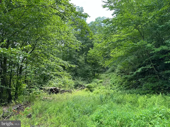 0 Hauto Hwy, Nesquehoning, PA 18240