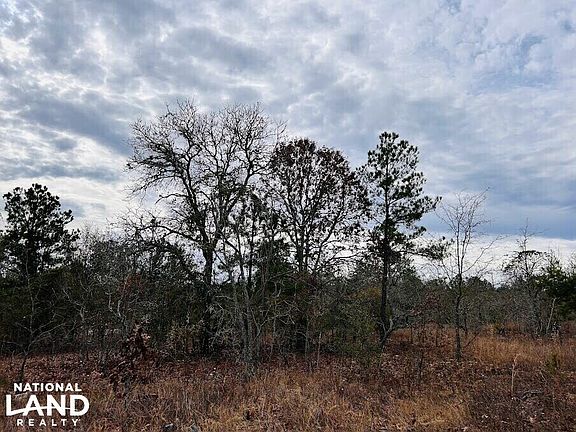 2nd image of 0 Georgia Rd Tract 2