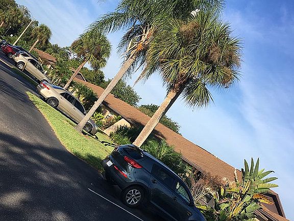 5th image of 2115 Caribbean Dr N
