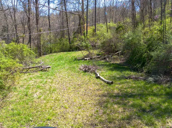 0 E Us Route 60, Milton, WV 25541