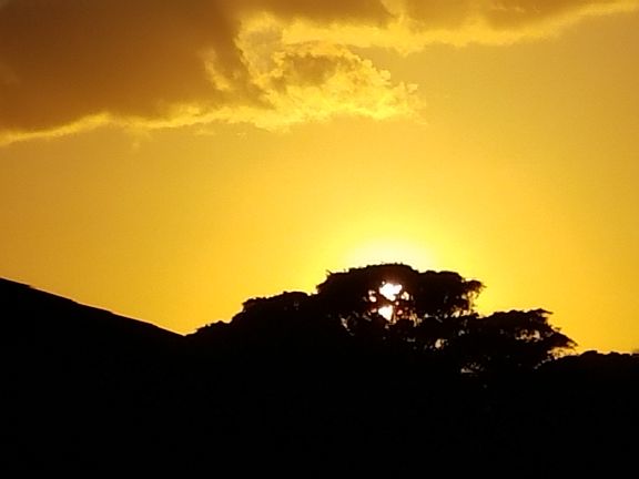 Sunset Back Lanai