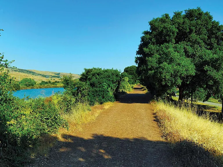 Find hiking trails, lakes, and bicycle paths in nearby parks