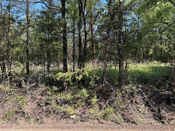 4th image of TRACT Thirteen County Rd #2951