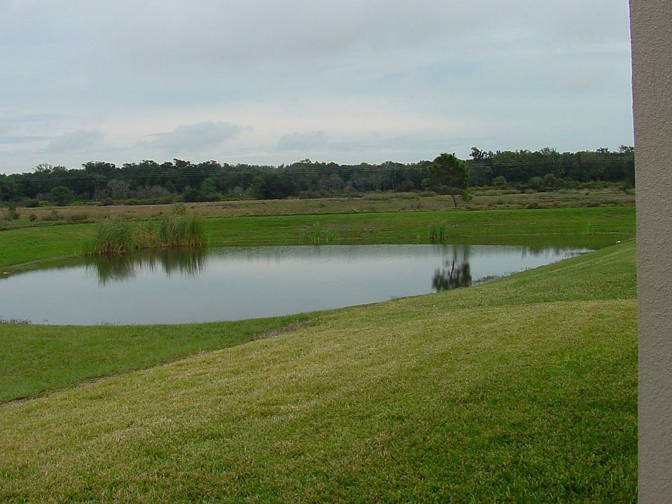 View From Year lanai