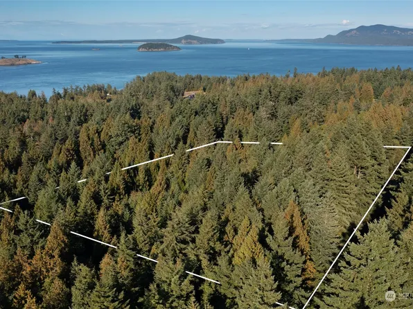 71 Lonesome Cove Road, San Juan Island, WA 98250