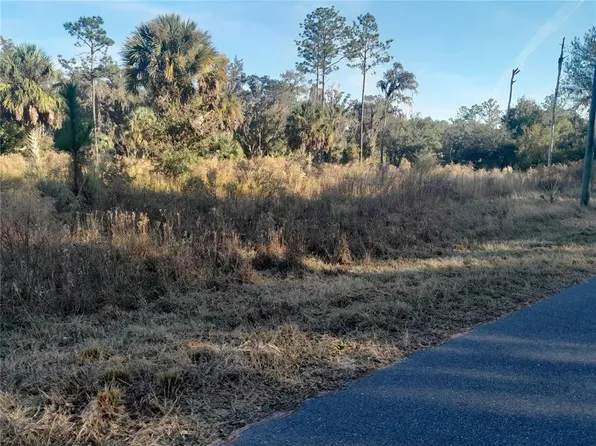 SE 110th Ave Lot 13, Inglis, FL 34449