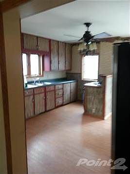 3rd image of 1427 Mole Ave
