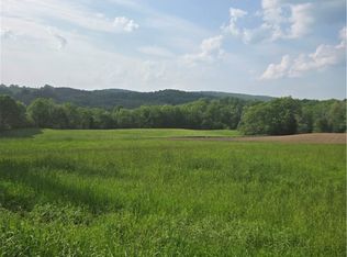 0 Backus Rd #38, Mount Vision, NY 13810