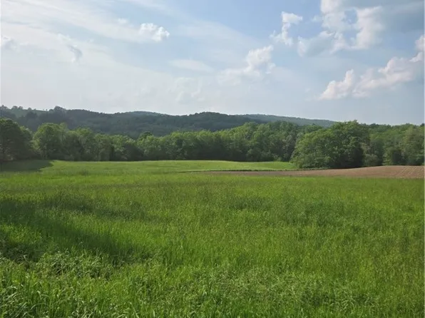 0 Backus Rd #38, Mount Vision, NY 13810