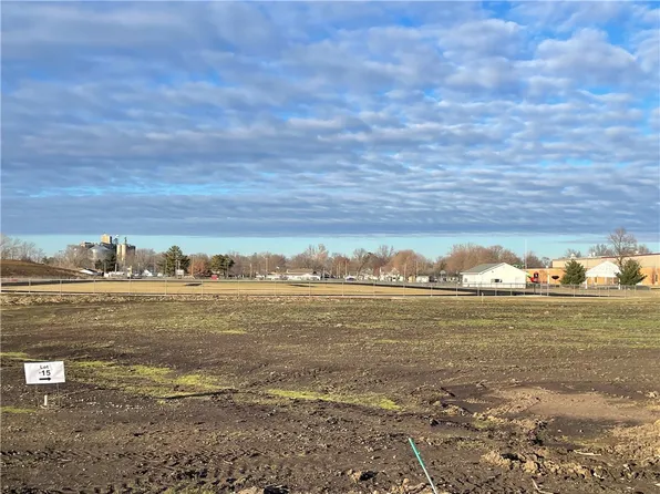 15 Baxmeyer Ln, Assumption, IL 62510