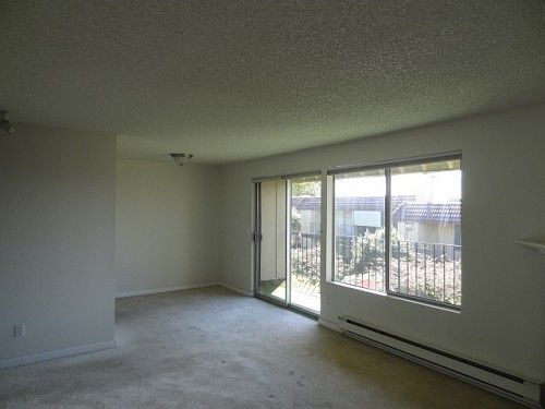 5th image of 1001 S Pearl St APT A5