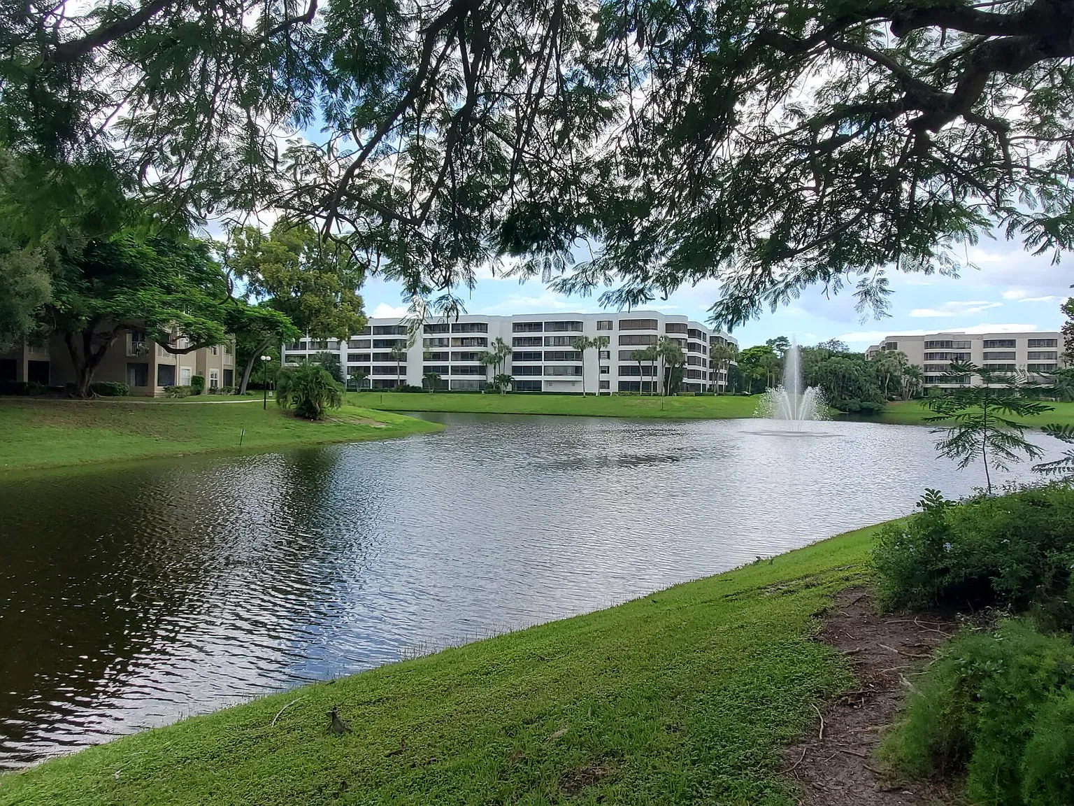 1 bed, 1.0 bath, 558 sqft, $1,849 — Photo 3