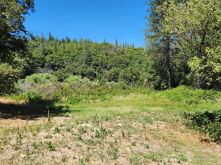 25563 State Highway 49 — Photo 10