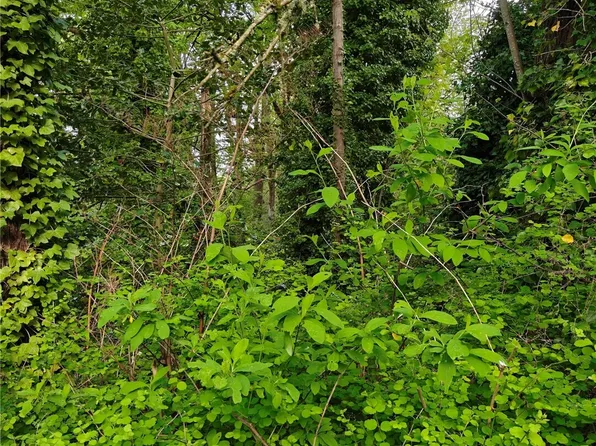 8813 42nd Avenue S, Seattle, WA 98118