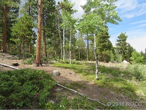 1st image of 30321 Aspen Turn