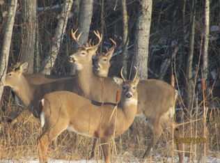 6230 W Clarence Rd, Harrison, MI 48625