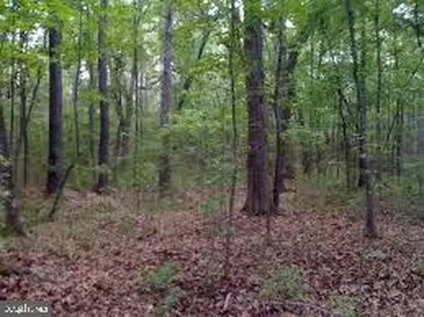 Pendleton Rd, Mineral, VA 23117